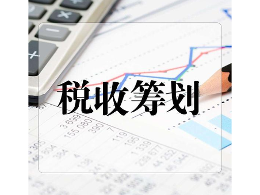 財(cái)稅籌劃(企業(yè)財(cái)稅實(shí)務(wù)與財(cái)稅基礎(chǔ)知識)