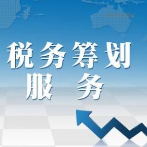 財稅籌劃(房地產(chǎn)企業(yè)財稅籌劃實務)