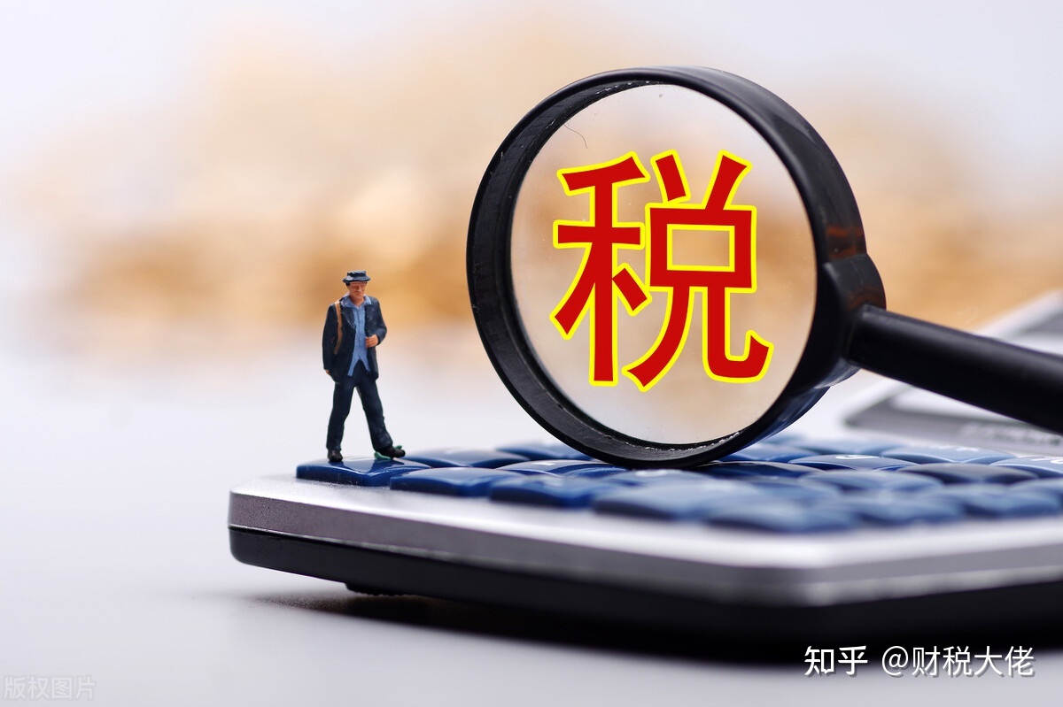 高管稅收籌劃(浙江省稅務(wù)學(xué)會(huì);浙江省國際稅收研究會(huì)稅收有據(jù)——稅收政策法規(guī))