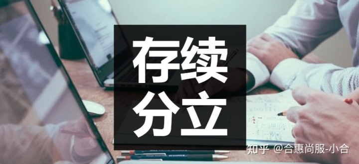 企業(yè)分立的納稅籌劃(企業(yè)納稅實(shí)務(wù)與籌劃)