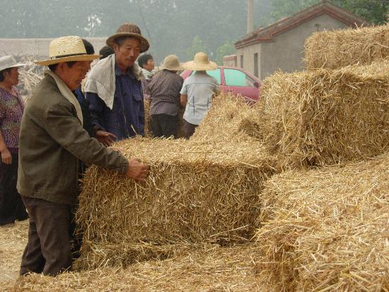 生物質能源上市公司