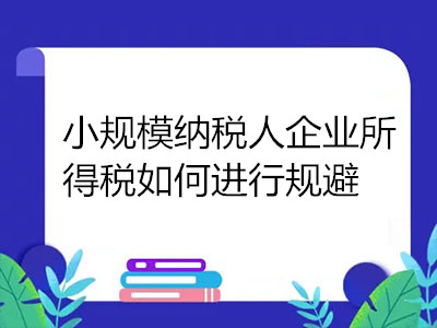 小規(guī)模納稅人企業(yè)所得稅如何進(jìn)行規(guī)避