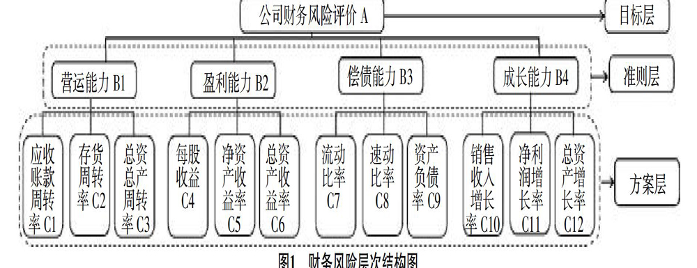 財(cái)務(wù)風(fēng)險(xiǎn)控制